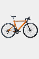 Bicicleta DE RUTA en acero Poseidon 2x7 vel