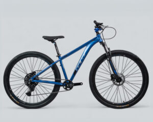 Bicicleta de mtb GW Zebra rin 29