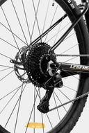 Bicicleta MTB 29 aluminio Poseidon Keto 9v LTWOO