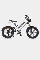 Pre- order Bicicleta Electrica Moped Thunder