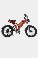 Pre- order Bicicleta Electrica Moped Thunder