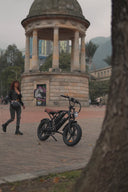 Pre- order Bicicleta Electrica Moped Style Pro