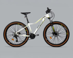 Bicicleta de Mtb Profit Montana rin 29 de 9v