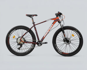 Bicicleta de Mtb Profit Boston ultra 12V