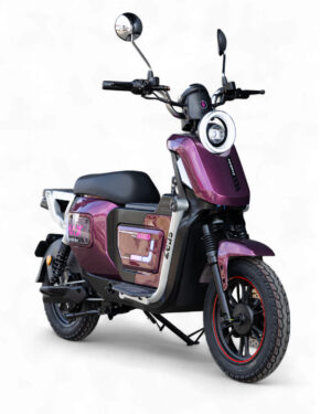 Bicicleta Electrica Evobike Zeus
