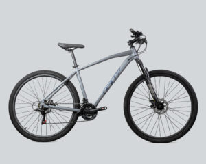 Bicicleta Mtb GW Scorpion de 7V RIN 29
