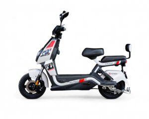 Bicicleta electrica Moscow